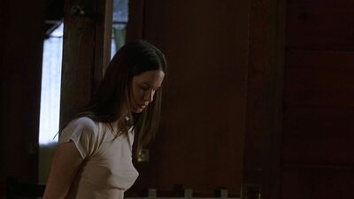 Katherine Waterston nude in The Babysitters (2007)