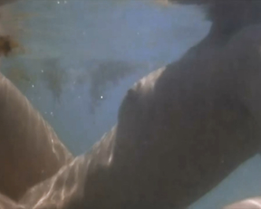 Amanda Donohoe naked - Castaway (1986)