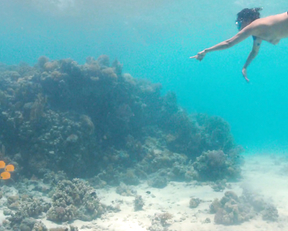 Sarita Choudhury – A Hologram for the King (2016)