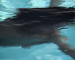 Catrin Striebeck - Unter Verdacht - Das Karussel (2004)