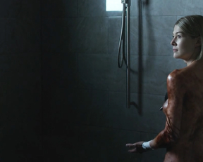 Rosamund Pike - Gone Girl  (2014)