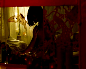 Shannon Kane - Brooklyn's Finest (2009)