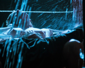 Kim Basinger - 9 1/2 Weeks (1986)