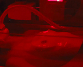 Abbey Lee, Carla Gugino - Elizabeth Harvest (2018)