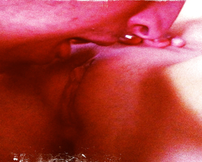 Daphné Patakia - Spring Awakening (2015)