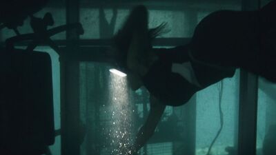 Alexandra Daddario - San Andreas (2015)
