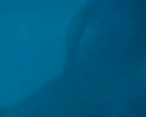 Maïwenn Le Besco, Estelle Lefébure - All About Actress