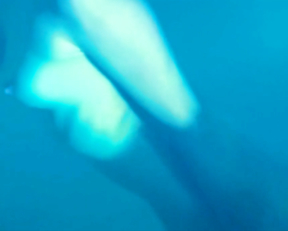 Maïwenn Le Besco, Estelle Lefébure - All About Actress