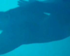 Maïwenn Le Besco, Estelle Lefébure - All About Actress