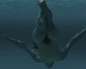 Leticia León - Sarima, Molinas Borealis 2 (2014)