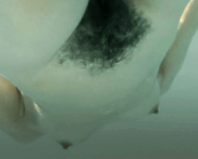 Leticia León - Molinas Borealis (2013)