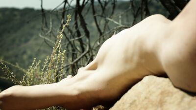 Dreya Weber, Traci Dinwiddie - Raven's Touch (2015)