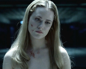 Evan Rachel Wood - Westworld (s01e01-05, 2016)