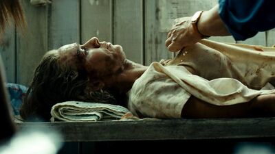 Naomi Watts - The Impossible (2012)