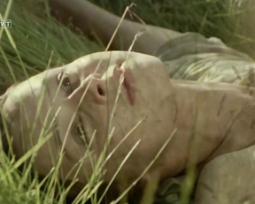 Renata Dancewicz - Diabelska edukacja (1994)