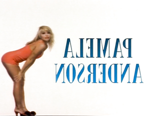 Pamela Anderson - Playboy Video Centrefold