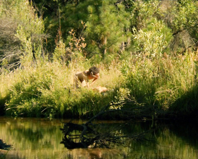 Zoë Kravitz - The Road Within (2014)