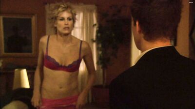 Daryl Hannah - The Job (2003)
