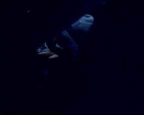 Emily Mortimer - Young Adam (2003 - DVD Uncut)