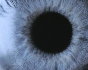 Anne Heche - Psycho (1998)