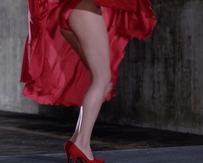 Kelly LeBrock - The Woman In Red - Film nackt