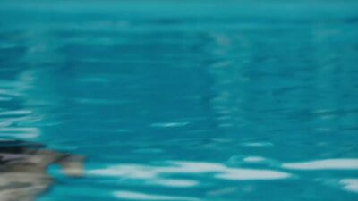 Elena Anaya-Jett - Film nackt