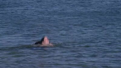 Sigrid Thornton nude - Snapshot
